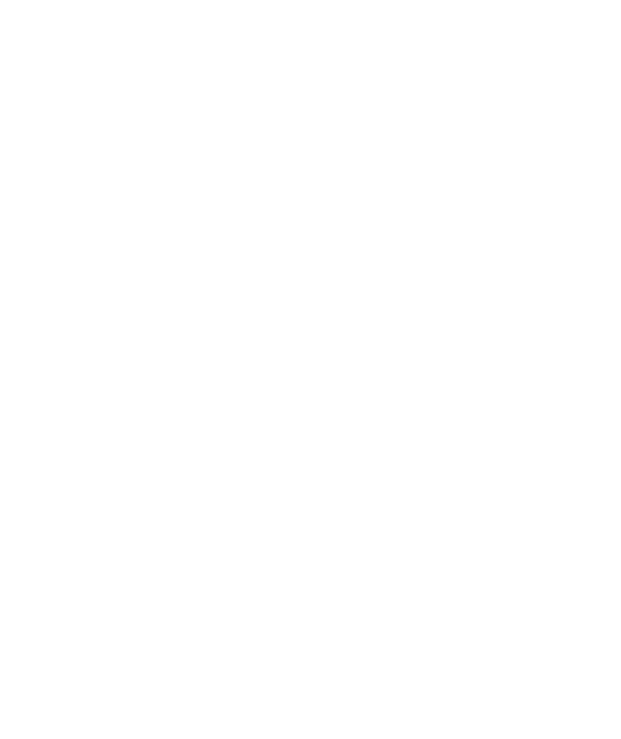 RISE Security